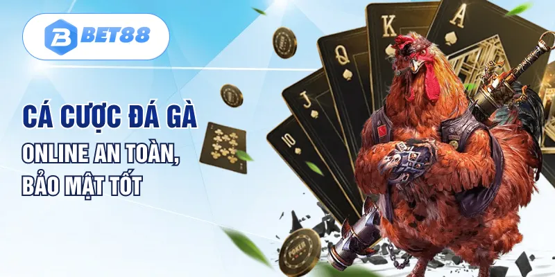 Cá cược đá gà online an toàn, bảo mật tốt