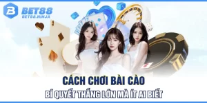 Cách Chơi Bài Cào - Bí Quyết Thắng Lớn Mà Ít Ai Biết
