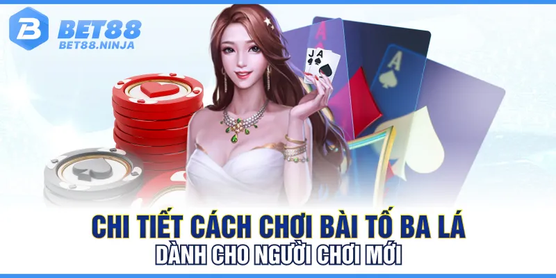 Chi tiết cách chơi bài tố ba lá dành cho người chơi mới