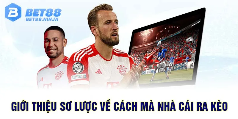 Giới thiệu sơ lược về cách mà nhà cái ra kèo