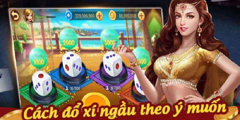 Một số vấn đề người mới cần lưu tâm khi cược
