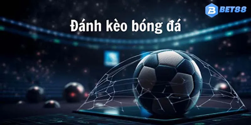 Khám phá thông tin về các kèo bóng đá phổ biến tại sảnh của nhà cái